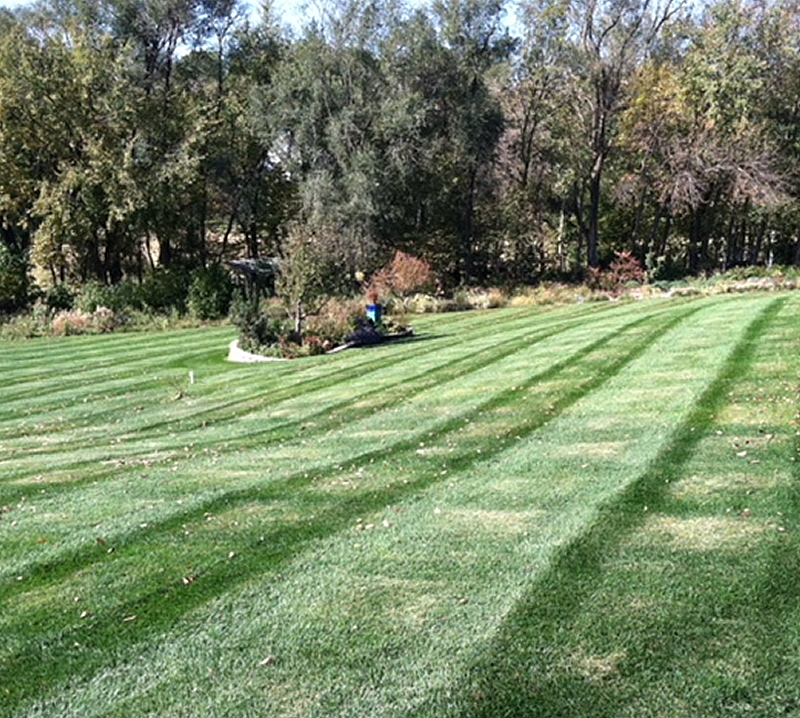 Lawn Maintenance Council Bluffs IA Perfect Diamond Lawn LLC